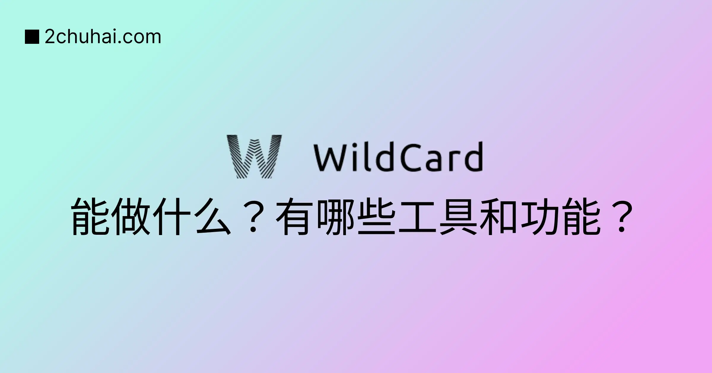 WildCard 能做什么？有哪些工具和功能？